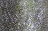 Rishton fibreglass roof work