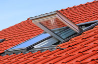 Rishton roof window